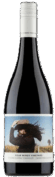 Four Winds Shiraz Viognier